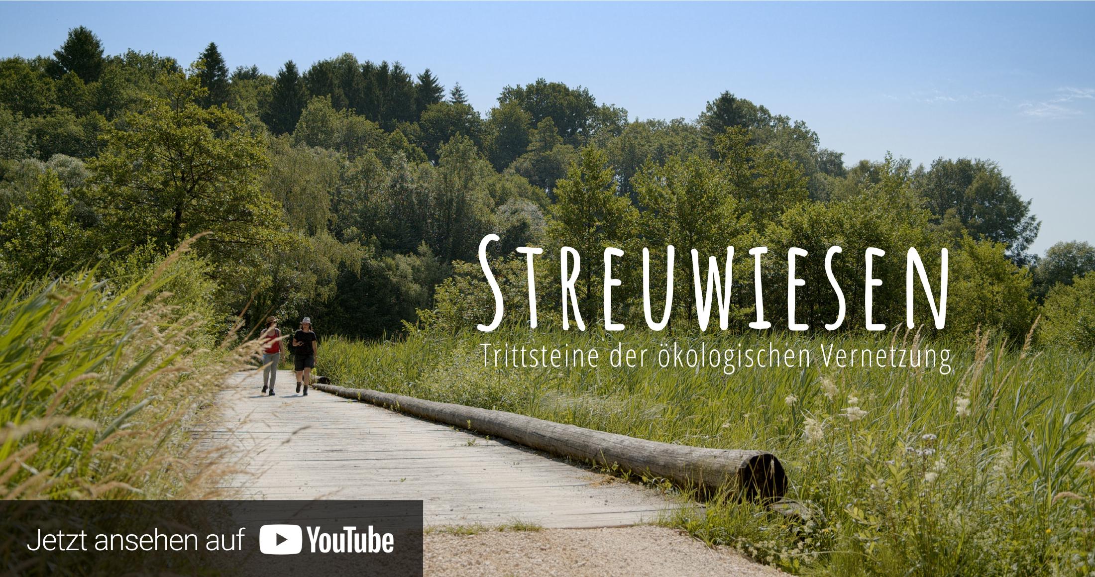 The Strato web design theme