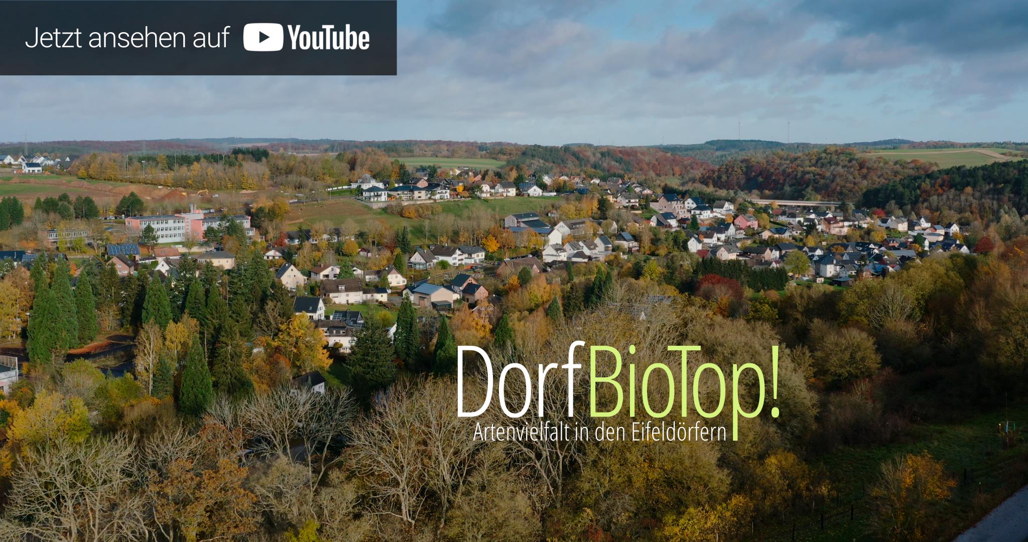 Dorfbiotop - Artenvielfalt in den Eifeldörfern