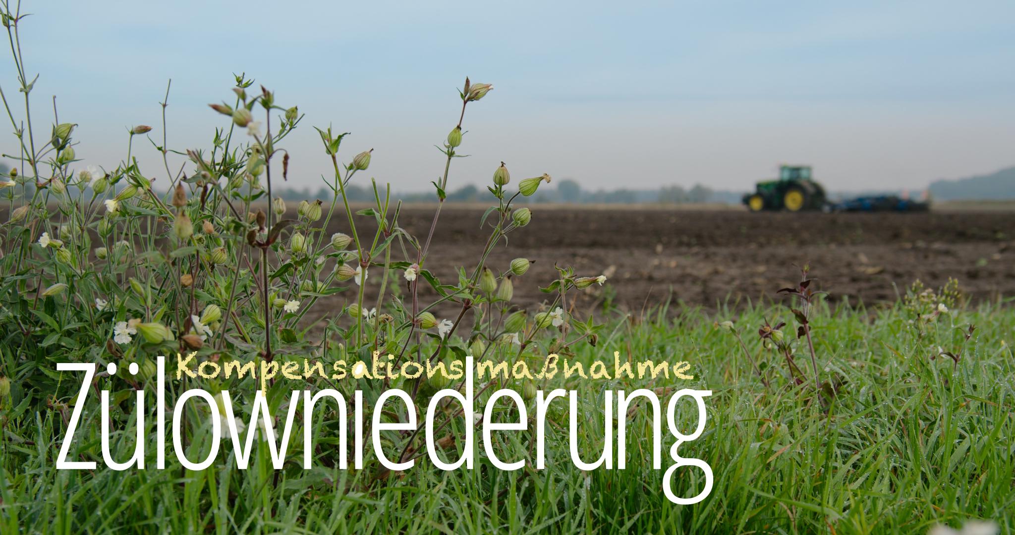 Komplexe Kompensationsmassnahmen in der Zuelowniederung