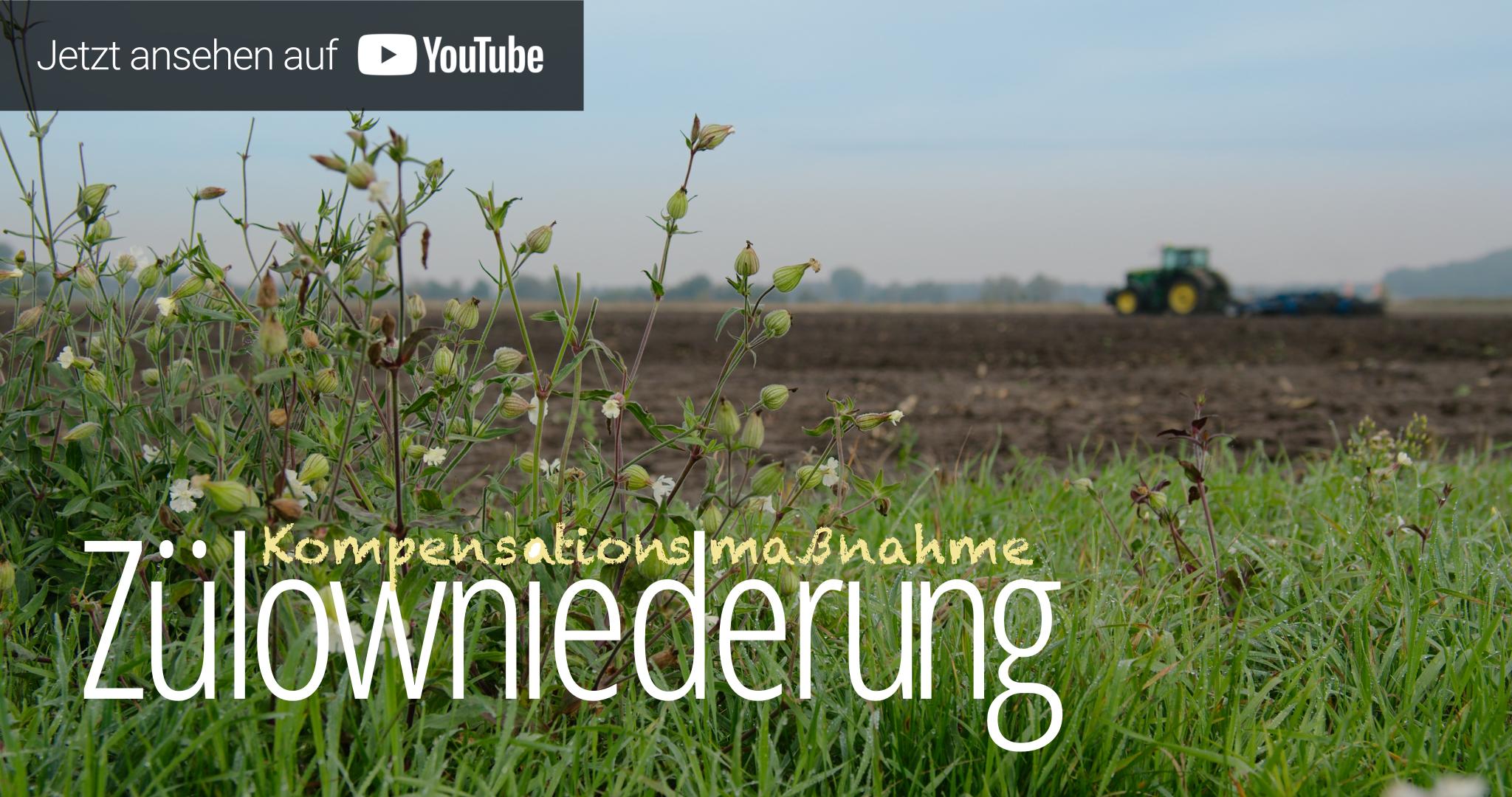 Kompensationsmaßnahme Zülowniederung